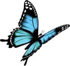 4x Robijn Klein & Krachtig Wasmiddel Black Velvet 1,19 Liter -Schoonmaakserie Winkel 1200x1118 1