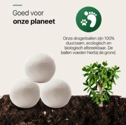 Tenify 6 XL Drogerballen + Extra Lavendel Olie - Wasbollen - Duurzaam - Schaapswol - Wasverzachter - Wasdrogerballen - Herbruikbare Droogballen - Energie Besparen -Schoonmaakserie Winkel 1200x1188 32
