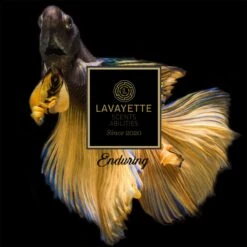 Lavayette Premium Wasparfum - Proefpakket 9x25ml - Geurbooster -Schoonmaakserie Winkel 1200x1200 1234
