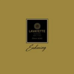 Lavayette Premium Wasparfum - Jasmin Shades - Geurbooster 500ml (Diamante) -Schoonmaakserie Winkel 1200x1200 1288