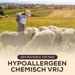 Drogerballen - Droogballen - Wasdrogerballen - Dryerballs - 6 Stuks - XL Formaat - Wol - Set -Schoonmaakserie Winkel 1200x1200 1501