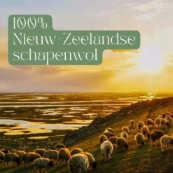 Miki's Goods® XL Wollen Drogerballen 6 Stuks - Panda Wasballen - Duurzaam - Wasbol - 100% Nieuw-Zeelandse Schapenwol - Wasbollen - Herbruikbaar- Droogballen - Snellere Droogtijd - Zuigt Dierenharen Op -Schoonmaakserie Winkel 1200x1200 1517