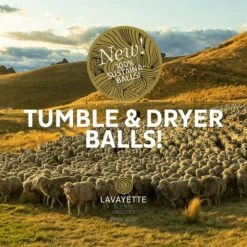 Lavayette XL Drogerballen Met 25ml Wasparfum - WasdrogerBallen – Droogballen – Wasbol – 100% Nieuw-Zeelands Schapenwol – Milieu- En Diervriendelijk – 6 Stuks -Schoonmaakserie Winkel 1200x1200 1563