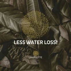 Lavayette XL Drogerballen Met 25ml Wasparfum - WasdrogerBallen – Droogballen – Wasbol – 100% Nieuw-Zeelands Schapenwol – Milieu- En Diervriendelijk – 6 Stuks -Schoonmaakserie Winkel 1200x1200 1568