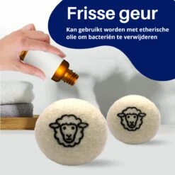 Waspakket - 6 Drogerballen - 2 Wasbollen - Maatschepje - Wasdoekje - Doseerbol - Wasbol - Doseerbollen -Schoonmaakserie Winkel 1200x1200 1618