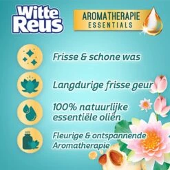 Frisse Reus Lotus Amandel Gel Wasmiddel - Vloeibaar - 80 Wasbeurten - Voordeelverpakking -Schoonmaakserie Winkel 1200x1200 334