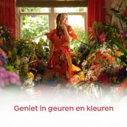 Robijn Klein & Krachtig Rosé Chique Vloeibaar Wasmiddel - 8 X 19 Wasbeurten - Voordeelverpakking -Schoonmaakserie Winkel 1200x1200 487