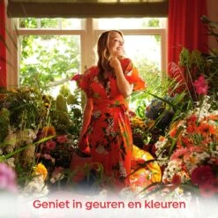 Robijn Klein & Krachtig Color Vloeibaar Wasmiddel - 8 X 20 Wasbeurten - Voordeelverpakking -Schoonmaakserie Winkel 1200x1200 788