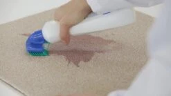 Dr. Beckmann Tapijtvlekkenborstel - Tapijtreiniging - Tapijt Vlekverwijderaar Met Borstel - Schoon Tapijt - Dierenvlekkenverwijderaar -Schoonmaakserie Winkel 1200x674 1