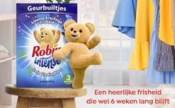 Robijn Geurbuiltje Intense 3 STUKS - Geur- Geurbuiltjes- Geurzakjes Voor In De Kledingkast -Schoonmaakserie Winkel 1200x742 19