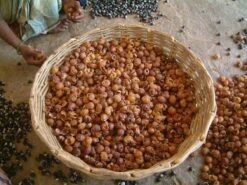 Wasnoten 750gr Met Waszakje - Zeepnoten - Natuurlijk Wassen -Schoonmaakserie Winkel 1200x900