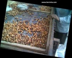 Wasnoten 3kg Met 4 Waszakjes - Zeepnoten - Natuurlijk Wassen - 4x750gr -Schoonmaakserie Winkel 1200x973 3