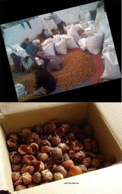 Wasnoten Start 150gr Met Waszakje - Zeepnoten - Natuurlijk Wassen -Schoonmaakserie Winkel 755x1200 1